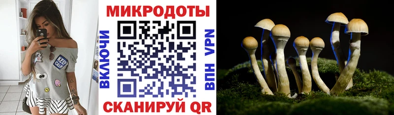 Псилоцибиновые грибы GOLDEN TEACHER Пятигорск