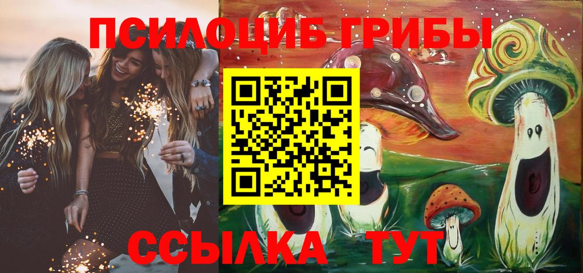 Псилоцибиновые грибы MAGIC MUSHROOMS Пятигорск