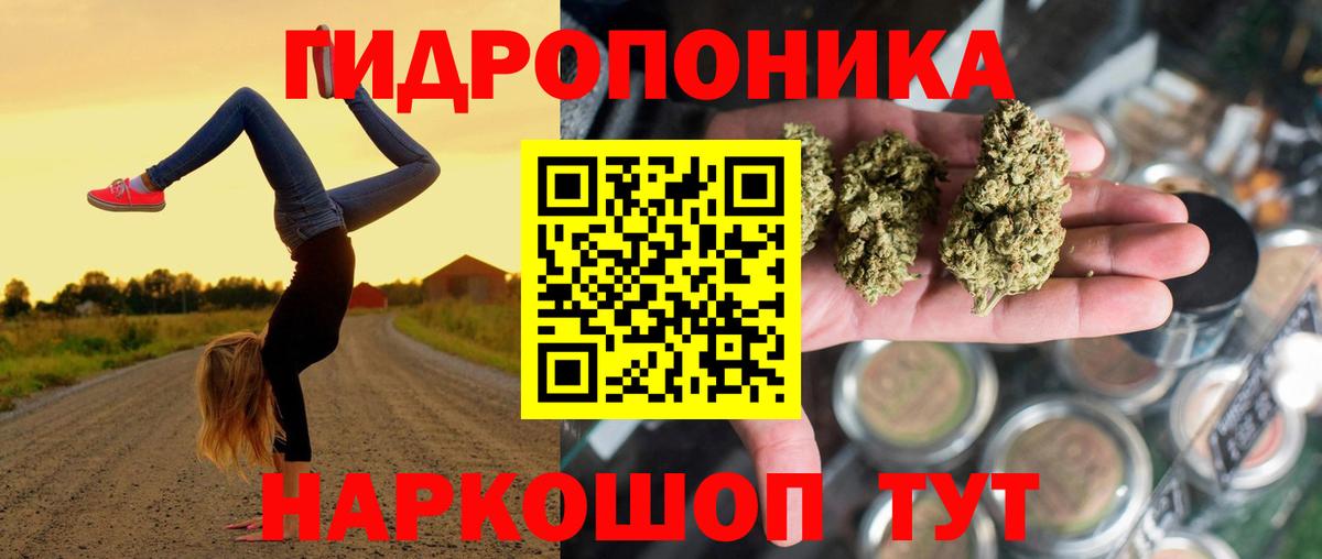 Канабис сатива  Конопля гибрид  Пятигорск  Конопля SATIVA & INDICA  Вход с VPN 